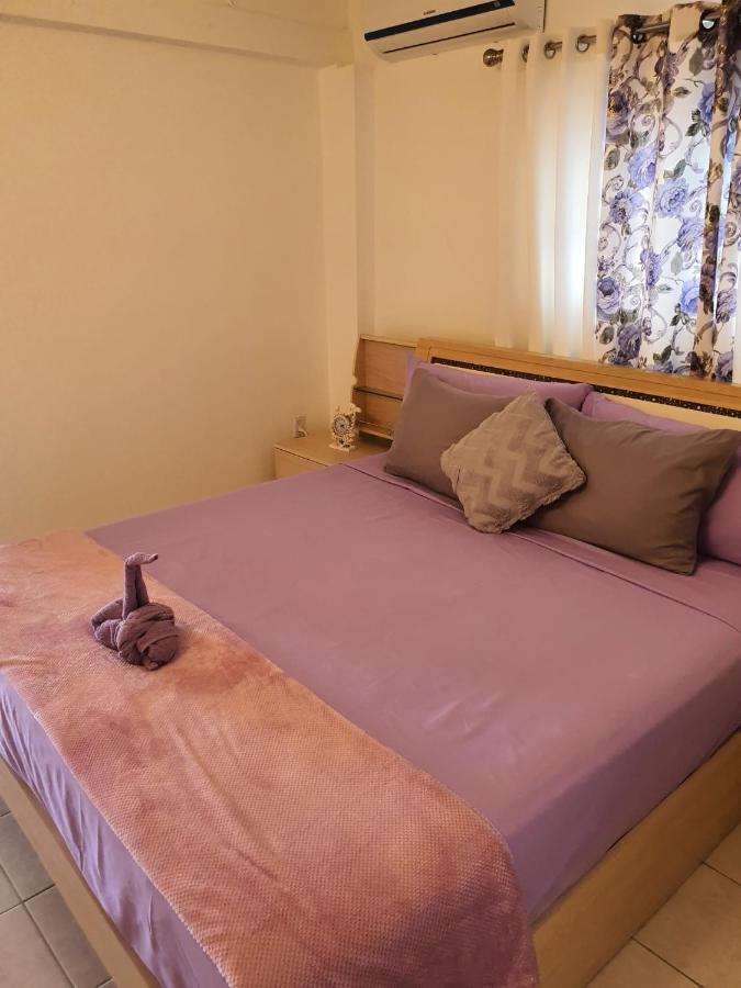 Raven's Paradise Apartment Willemstad