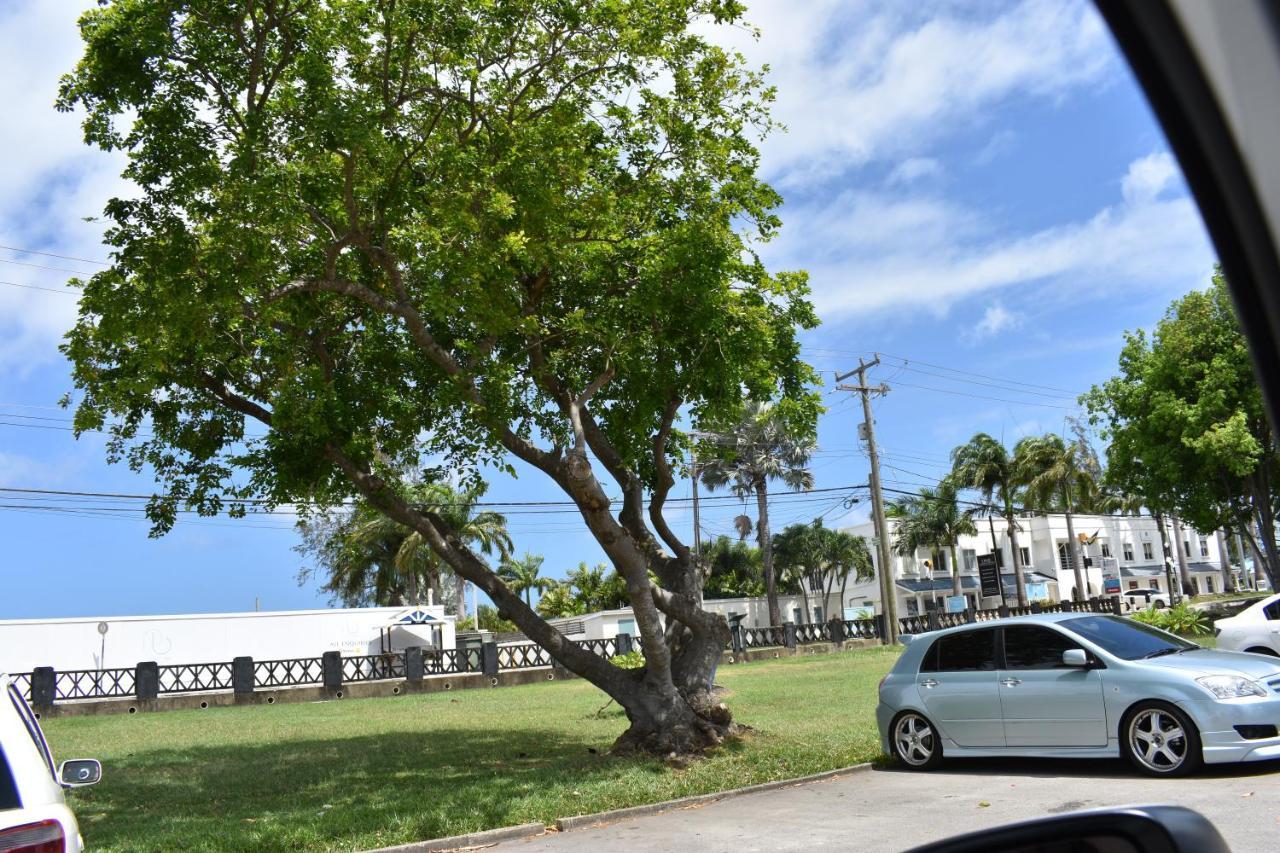 Flamboyant Beach House Saint James