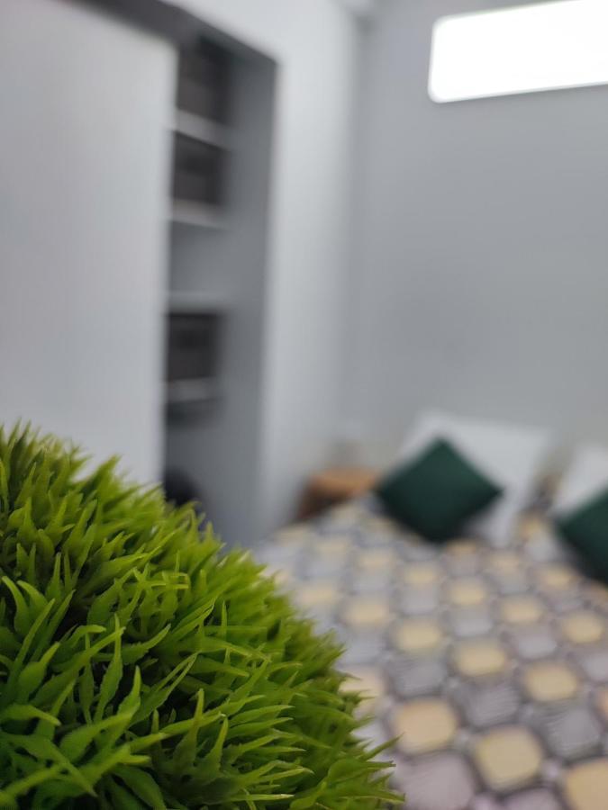 Joli T2 Renove Et Calme Quartier Desrochers A De France Apartamento Fort-de-France