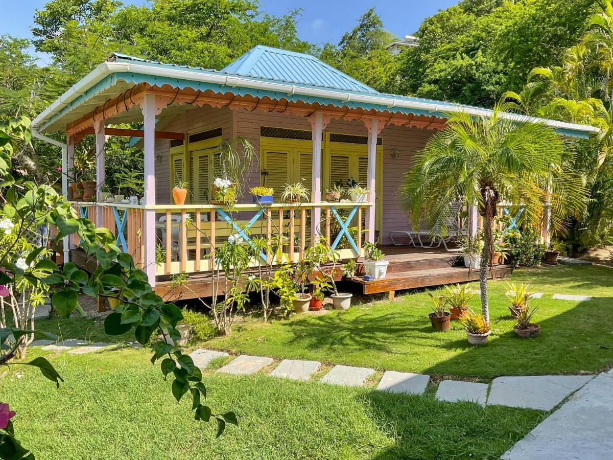 Caribbean Dream