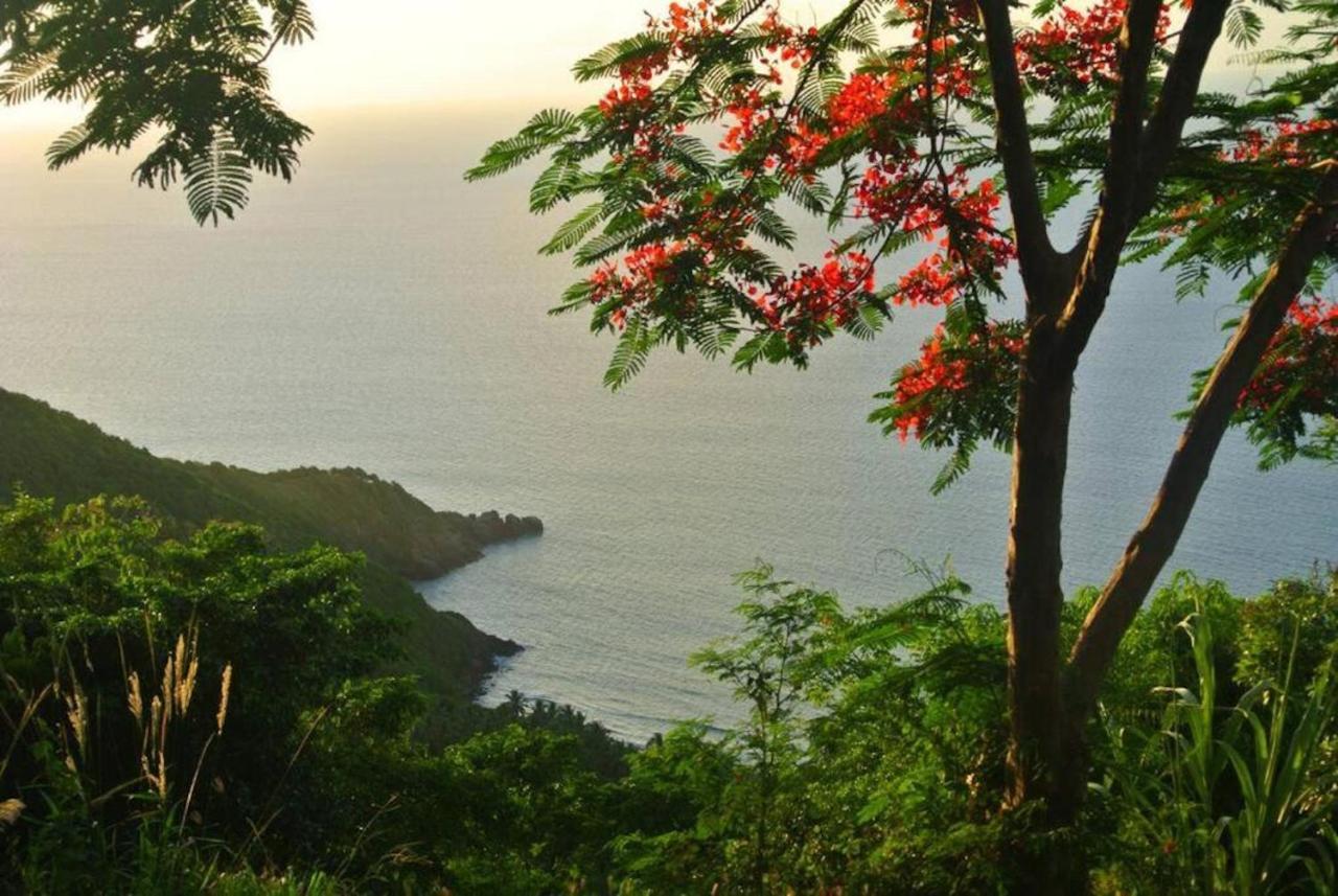 Traditional West Indian On Good Moon Farm Road Town (Tortola)