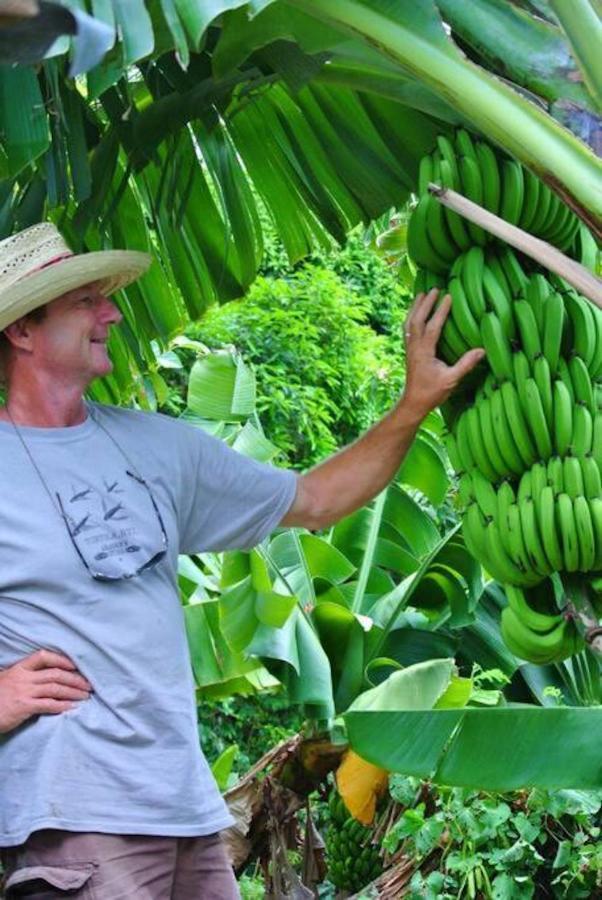 Traditional West Indian On Good Moon Farm *