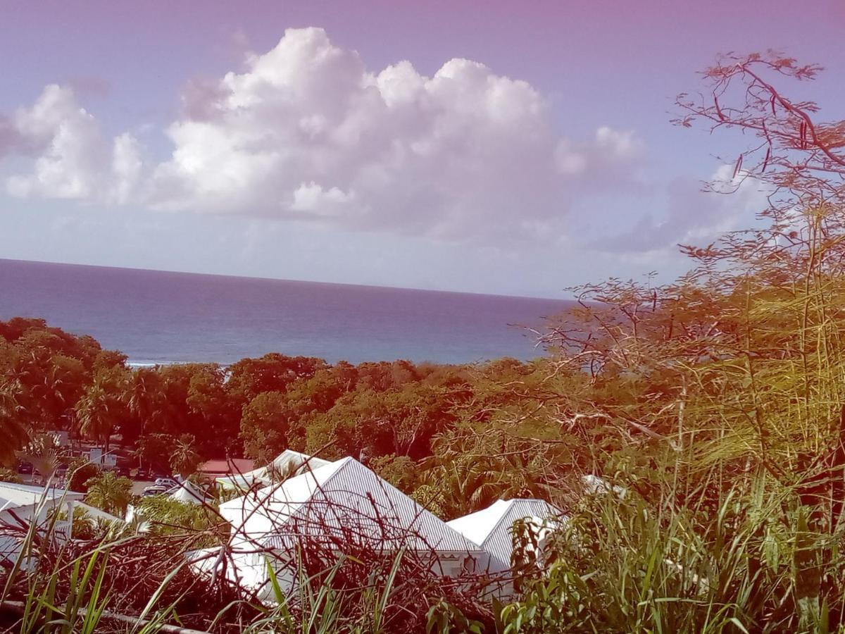 Tournesol D Or Apartment Le Gosier (Grande-Terre)