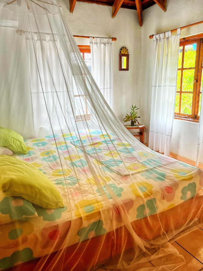 Guest house Caribbean Dream 2*