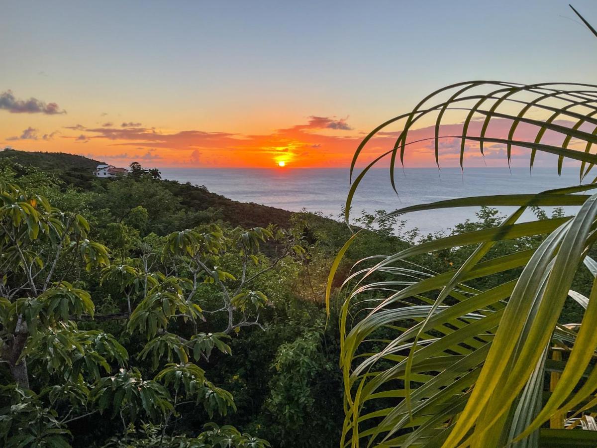 Caribbean Dream 2*