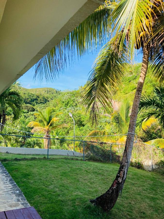 Bella Vista * Las Terrenas