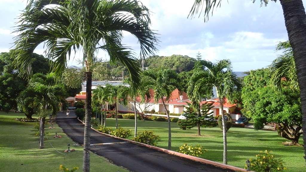 Sunset Shores Hotel 3*
