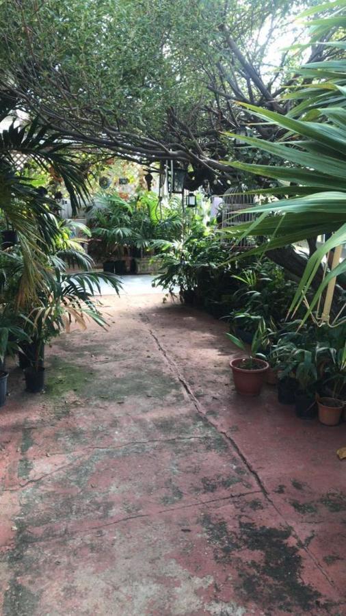 Magical Garden Homestay