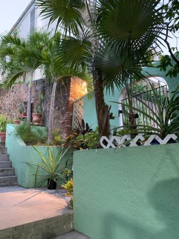 The Iguana Inn *