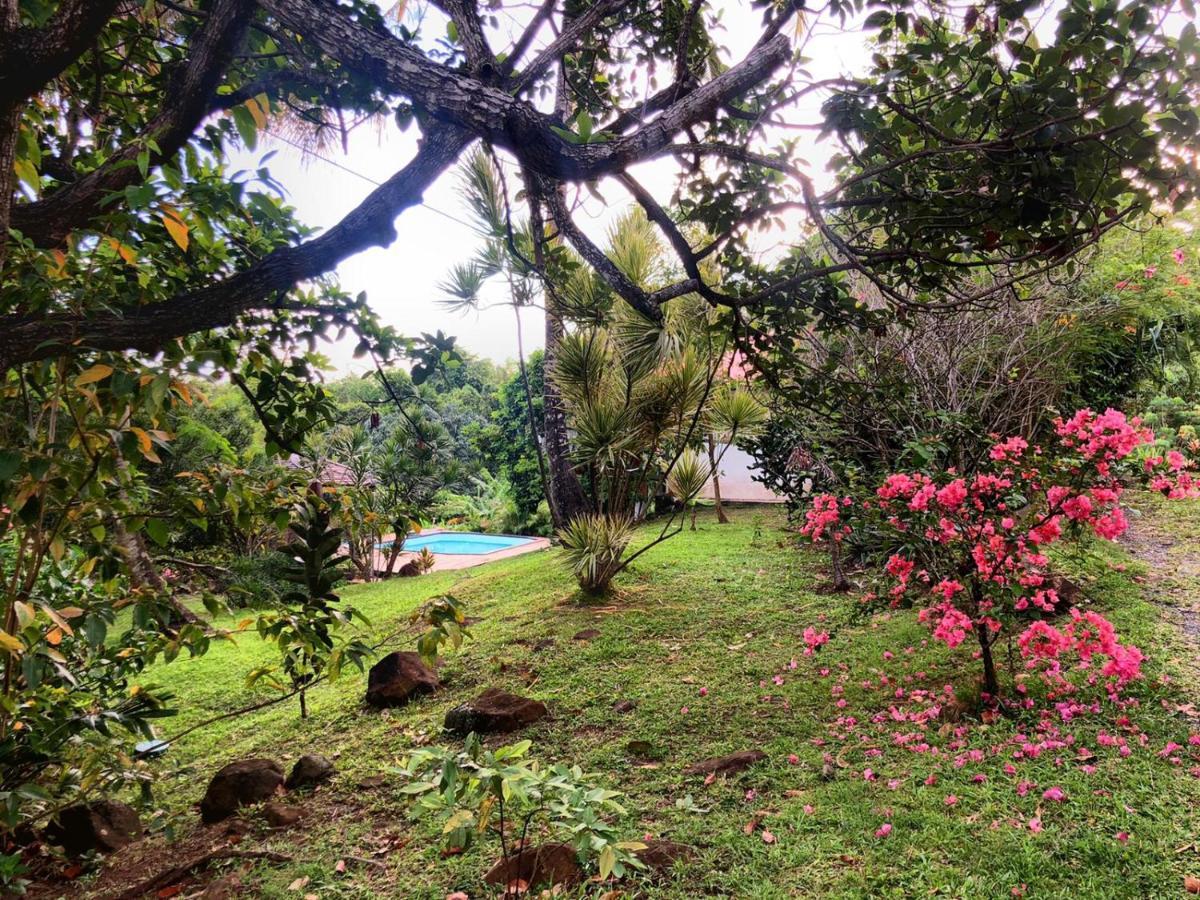 Au Vieux Manguier Casa de férias Deshaies
