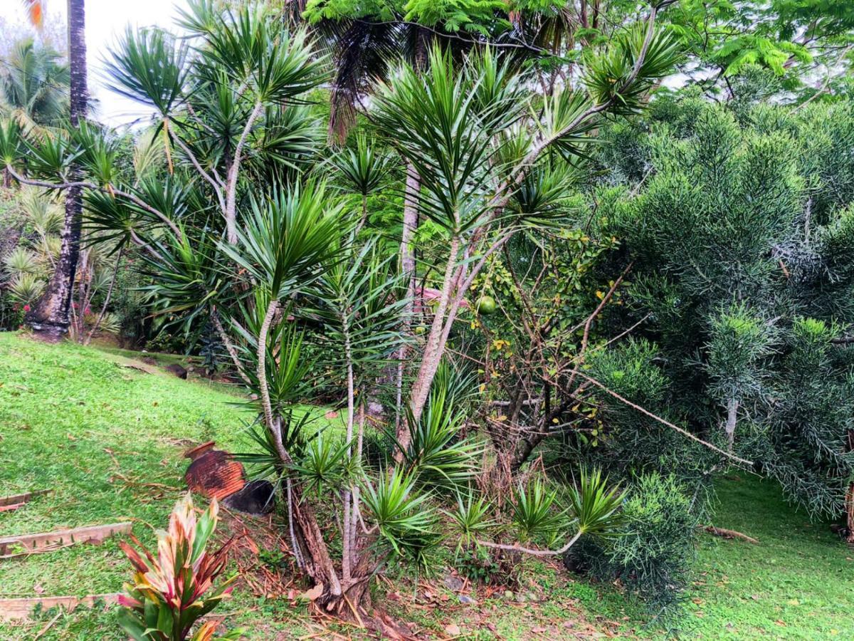 Casa de férias Au Vieux Manguier