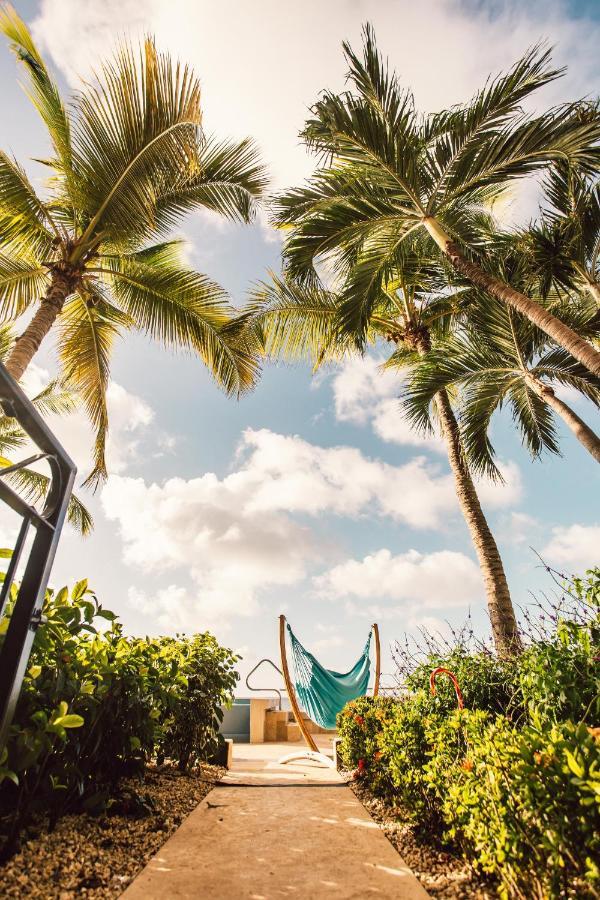 The Bellafonte - Luxury Oceanfront 4* Kralendijk (Bonaire)