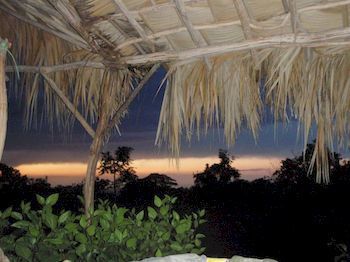 Jurassic Park Hotel 2*