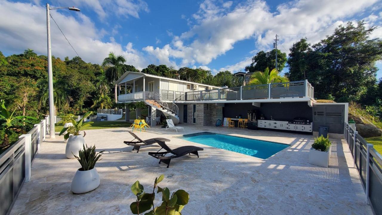 Palm's Bohemian House With Private Pool Holiday home *