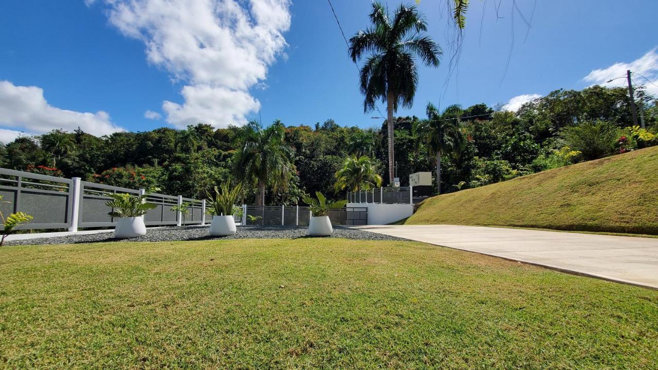 Palm's Bohemian House With Private Pool * Aguada