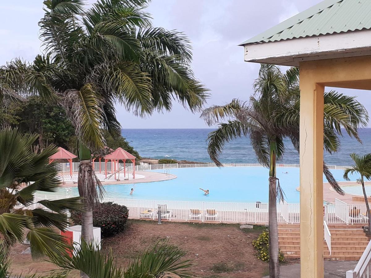 Cocotiers Et Pieds Dans L'eau * Saint-Francois (Grande-Terre)