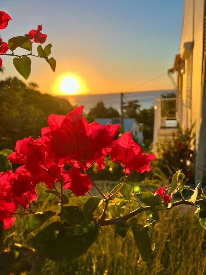 Sunrise Apartment Deshaies