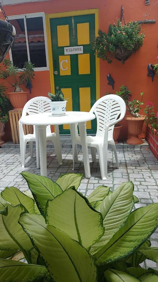 Terrakota * Willemstad