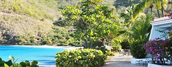 Mango Bay