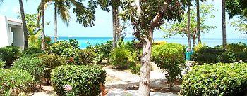 Resort Mango Bay Spanish Town