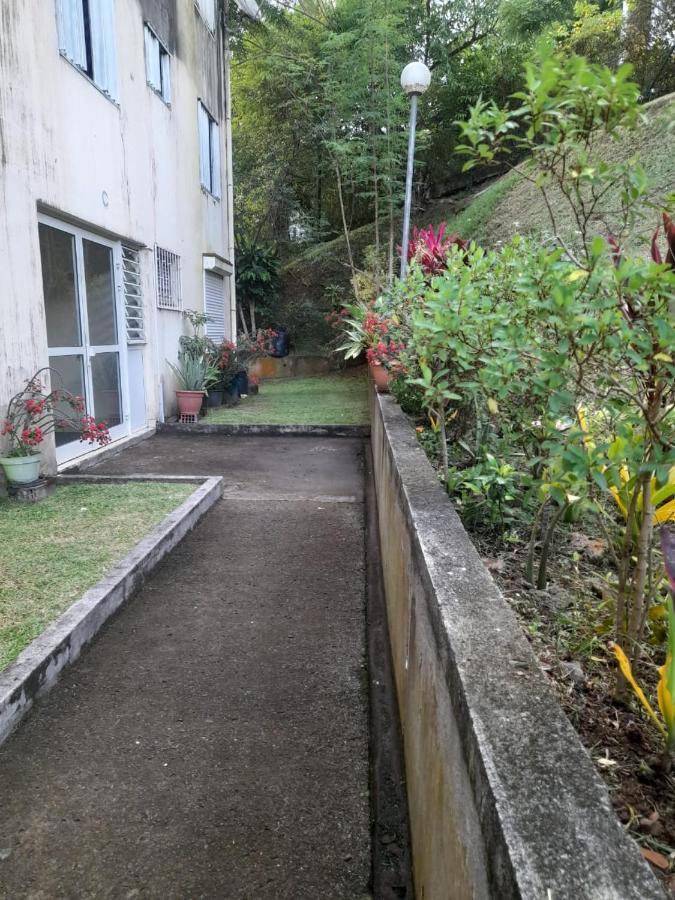 Escale Au Jardin Des Plantes *