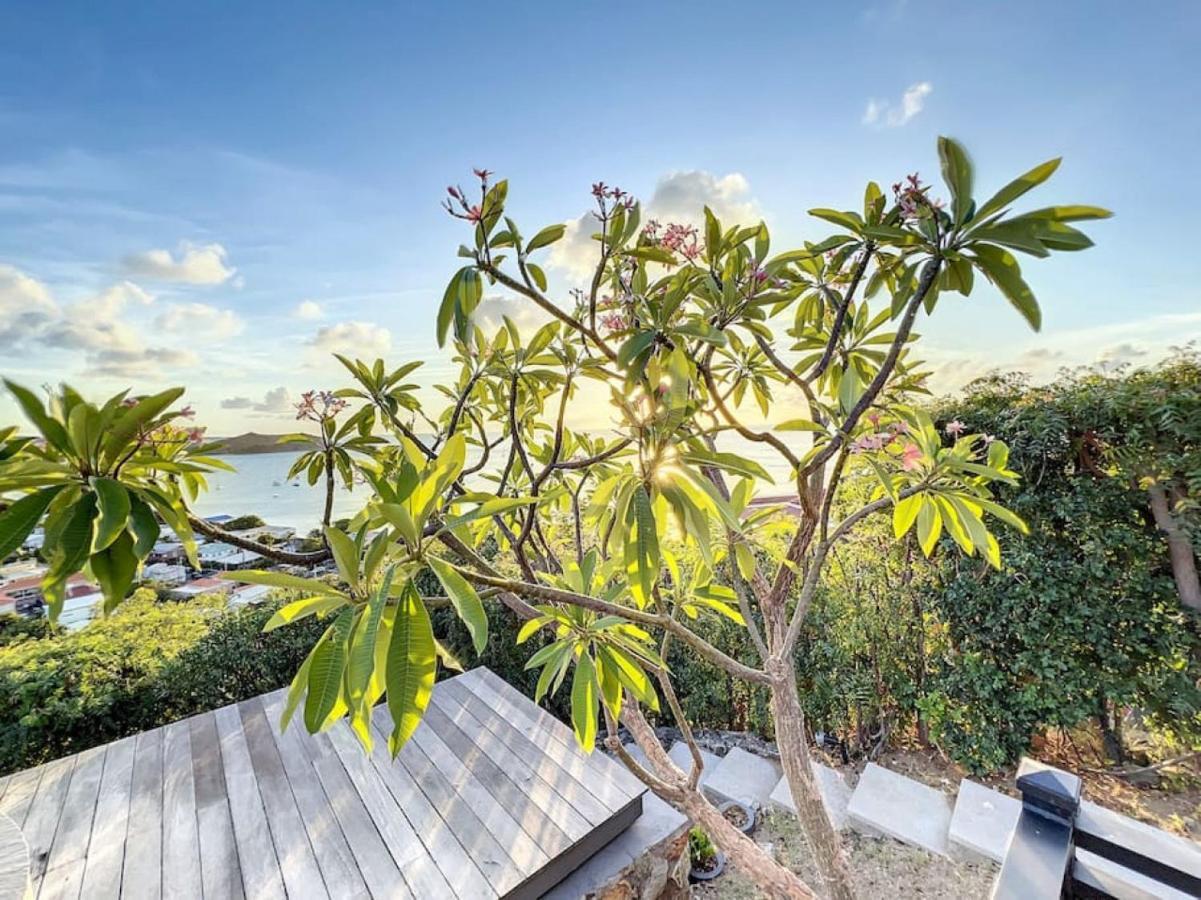 Frangipani In Shared Diamant, Swimming Pool, Sea View Grand Case