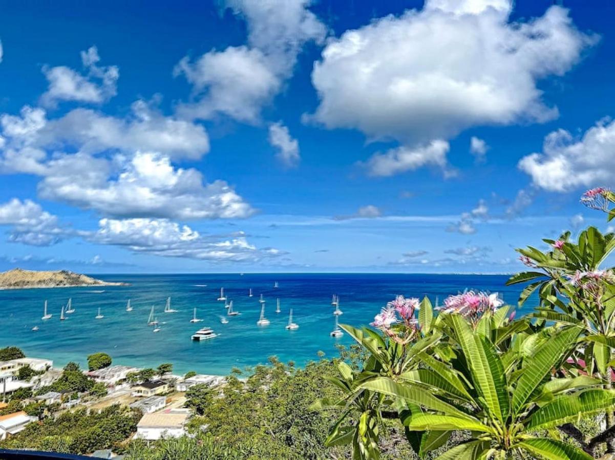 Frangipani In Shared Diamant, Swimming Pool, Sea View Grand Case