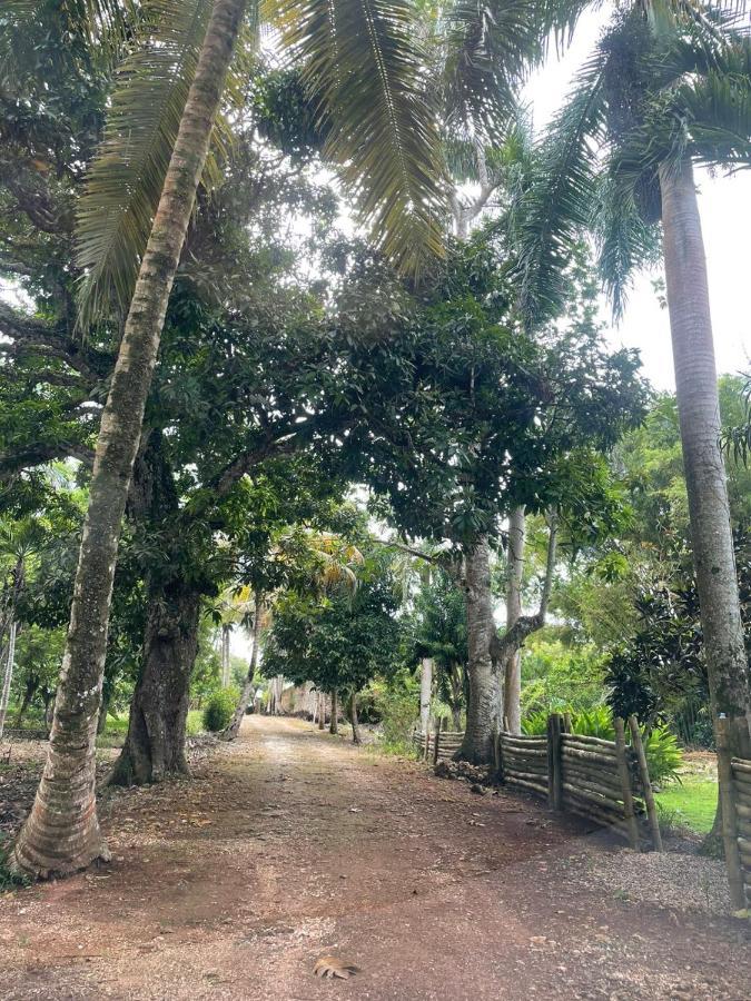 El Castillo Tropical Hospedagem domiciliar Cabrera