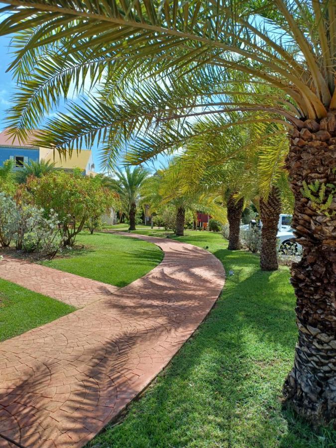 Apartment Superbe En Duplex En - Caye D'argent Le Gosier (Grande-Terre)