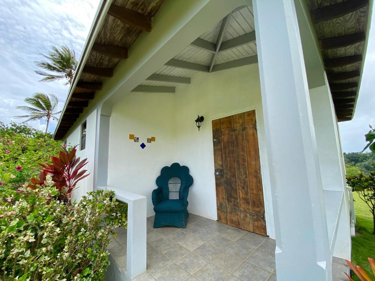 Sea Cliff Eco-cottages & Gin Distillery