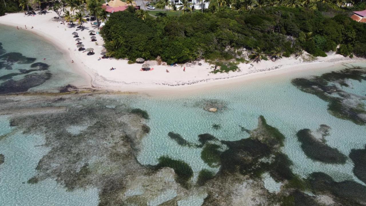 Apartment Lelagon Vue Mer, Pieds Dans L'eau *