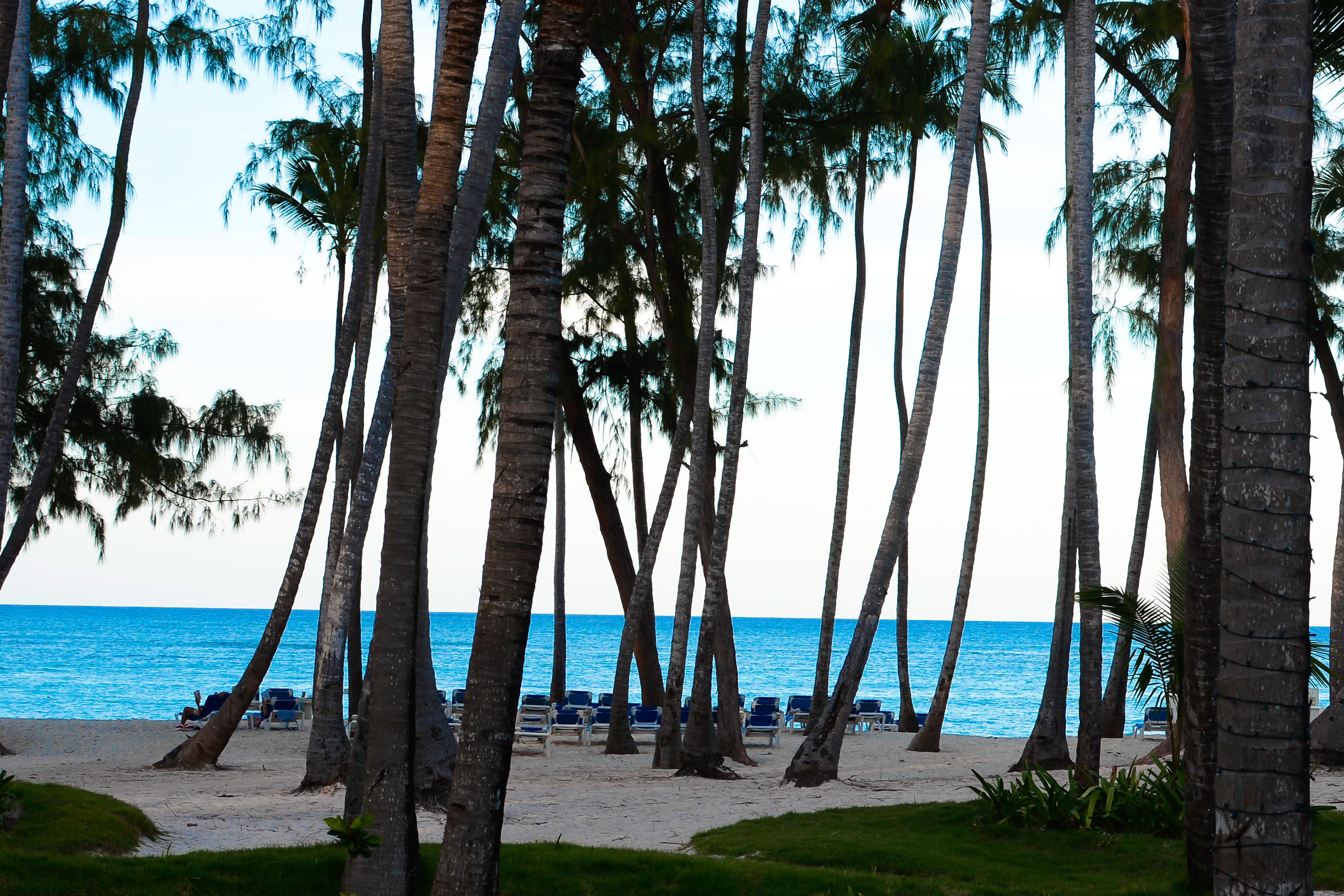 Vista Sol Hotel 4*