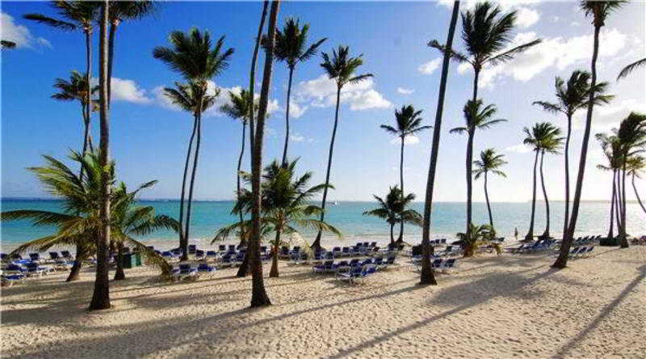 Barcelo Bavaro Beach (adults Only) 5* Punta Cana