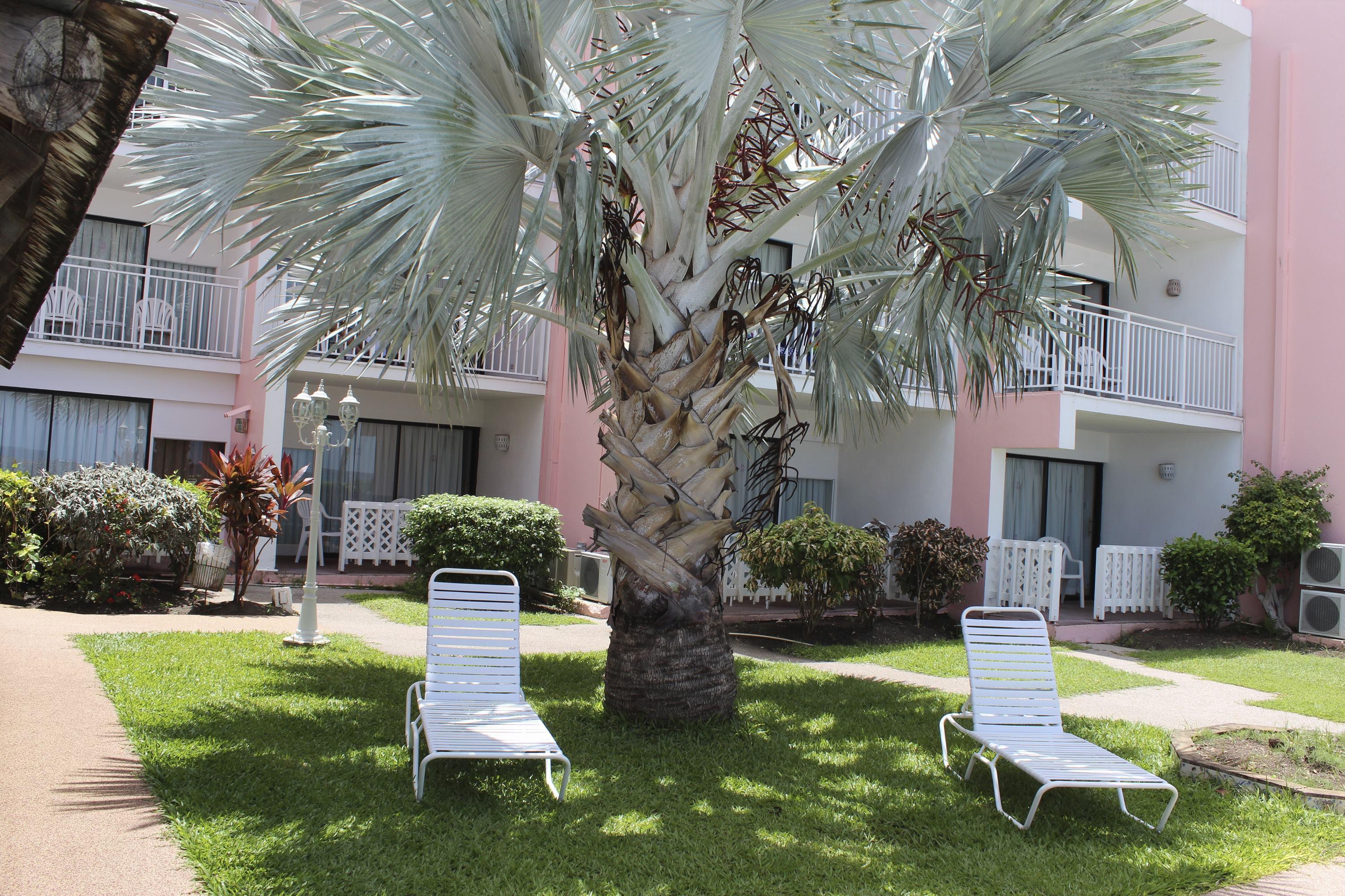 Hotel Southern Palms Club 3*