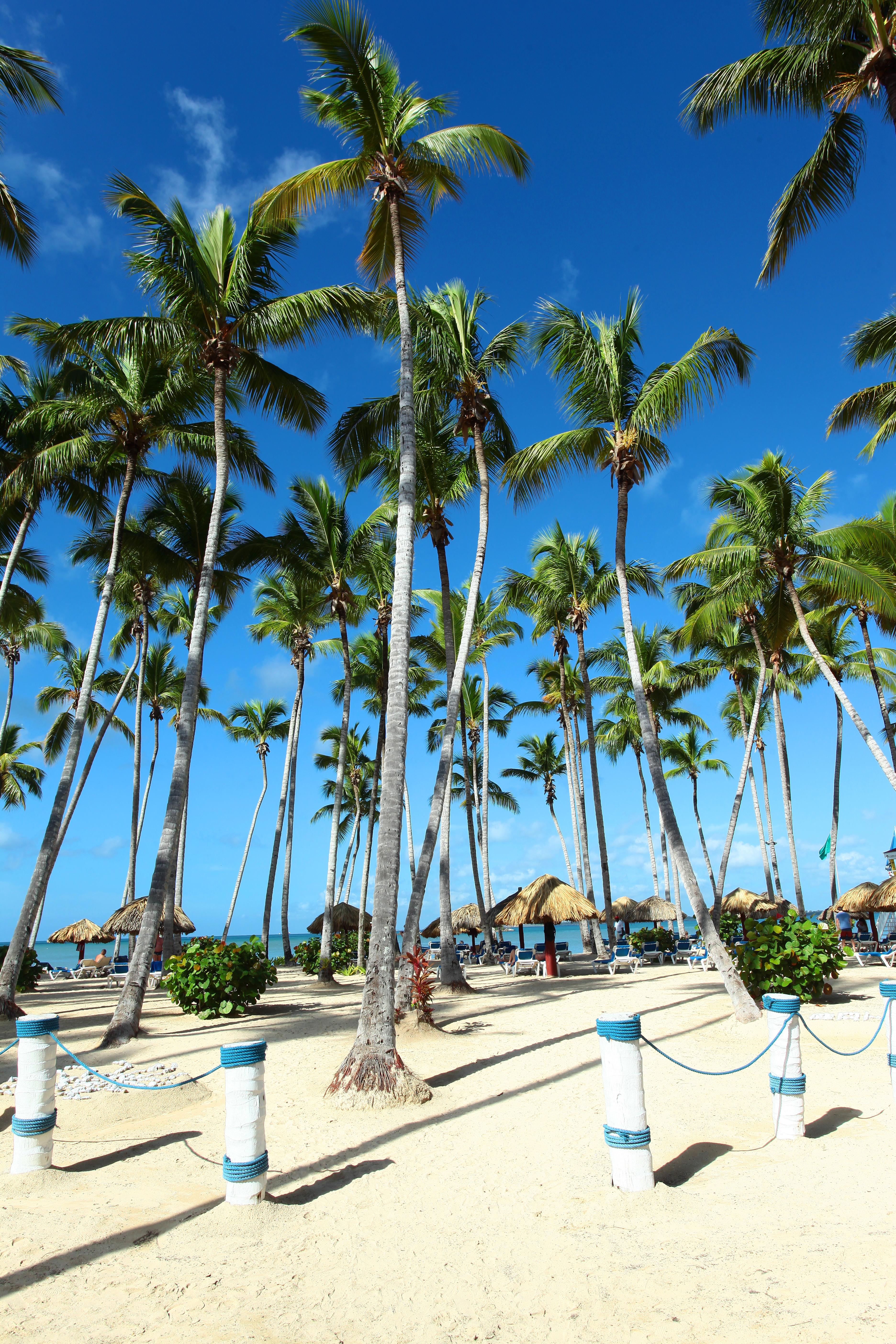 Bahia Principe Grand La Romana (adults Only) Resort Soco