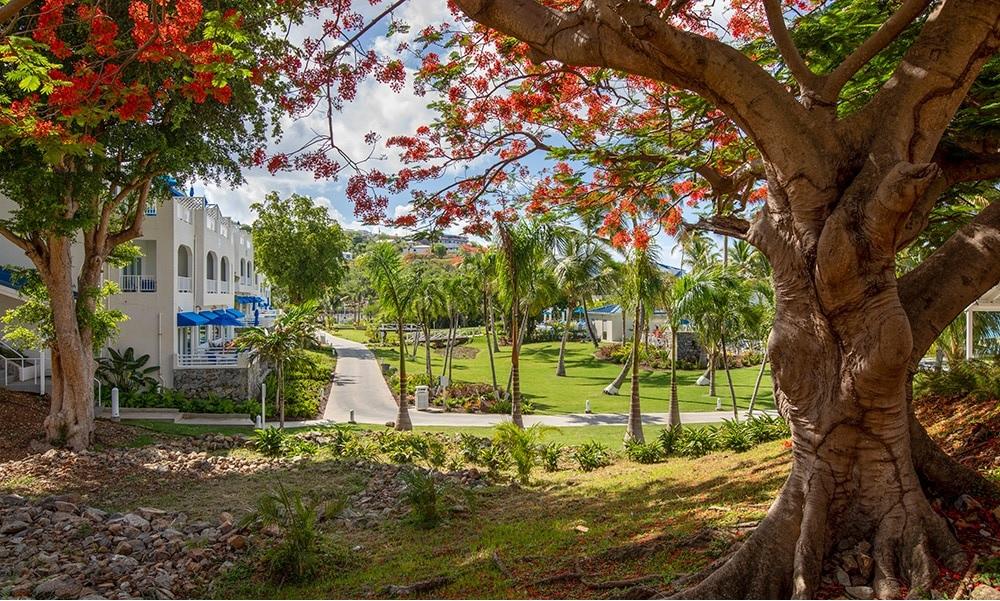Resort Limetree Beach By Club Wyndham Bolongo