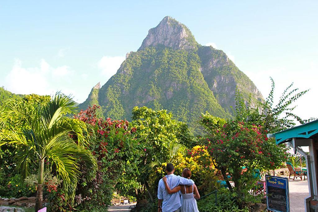 Stonefield (adults Only) 4*