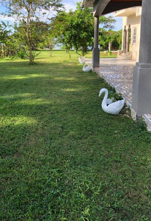 Homestay Champagne Whitehouse