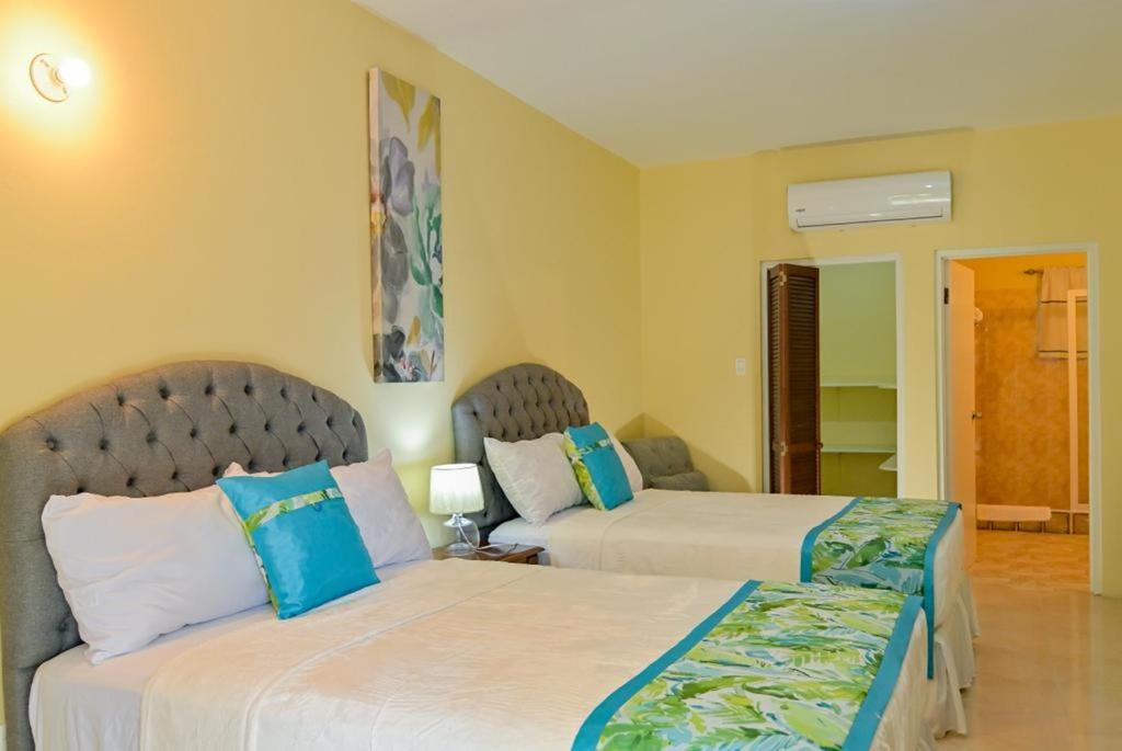 Champagne Homestay