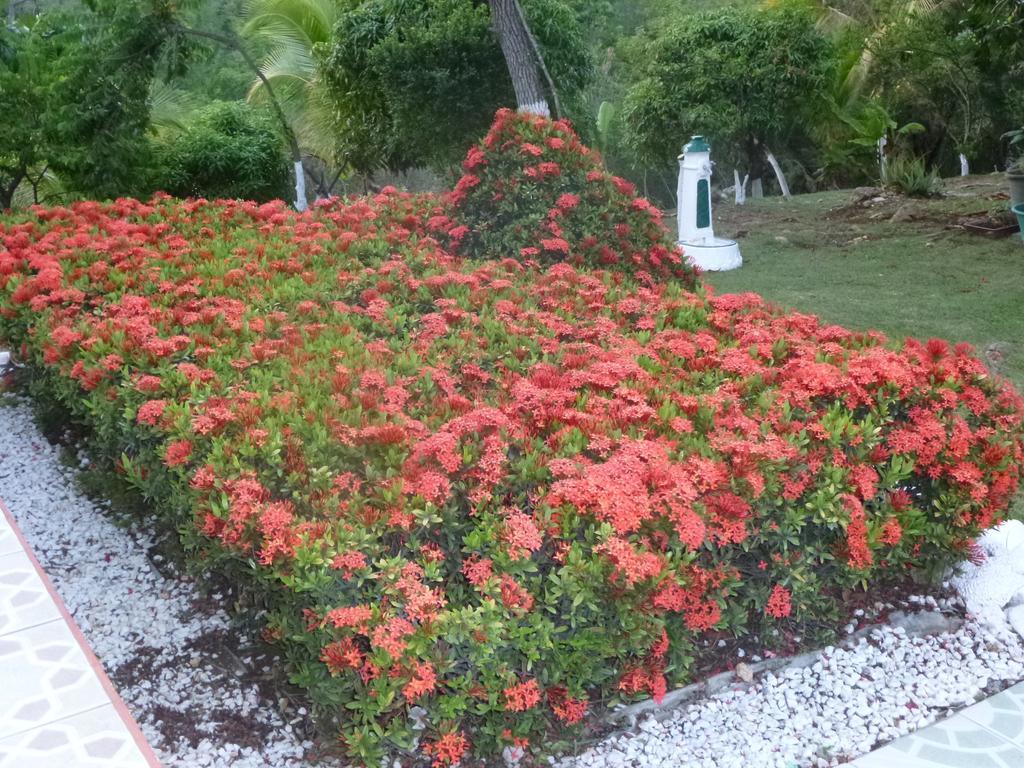 Pousada Ludivine Sainte-Anne (Grande-Terre)