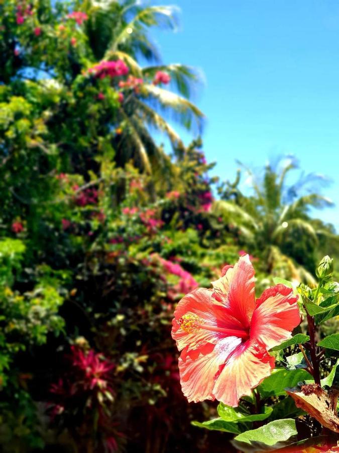 La Vieille Sucrerie: Caribbean View Retreat *