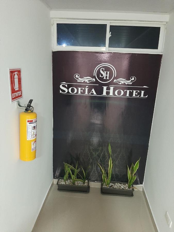 Hotel Sofia Hato Nuevo