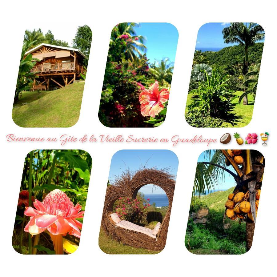 Holiday home La Vieille Sucrerie: Caribbean View Retreat Basse-Terre