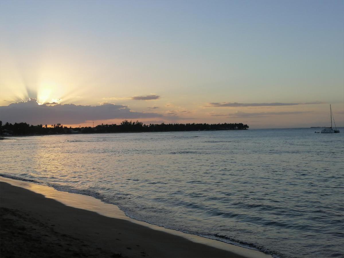 House Jardin Del Caribe 3*