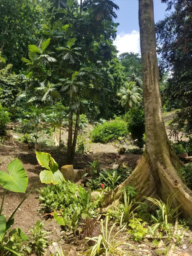 Alojamento Ecoscape Jamaica - Lavish 1-br By The River