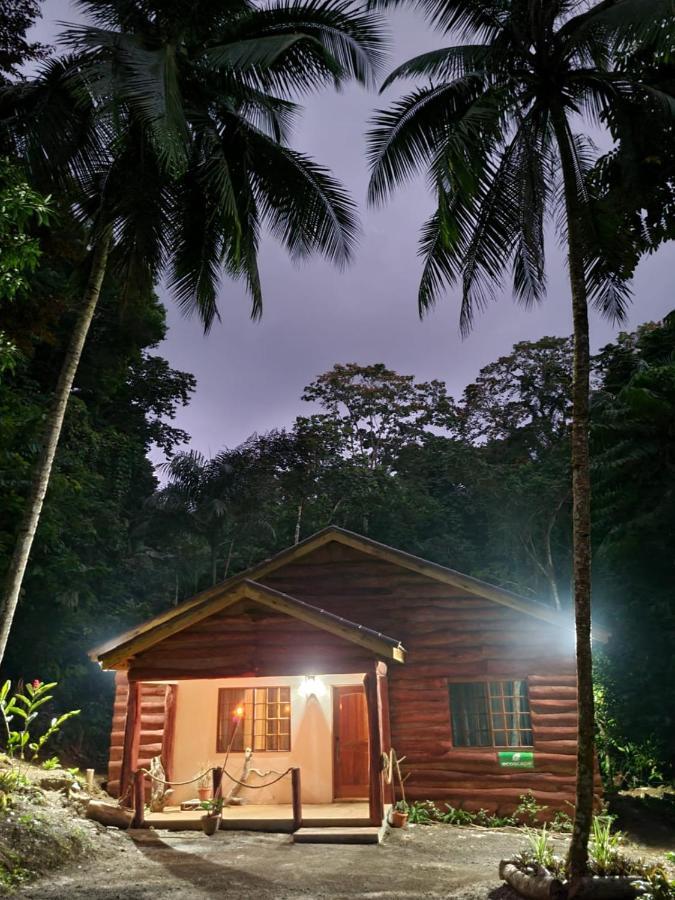 Ecoscape Jamaica - Lavish 1-br By The River Alojamento Saint Annʼs Bay