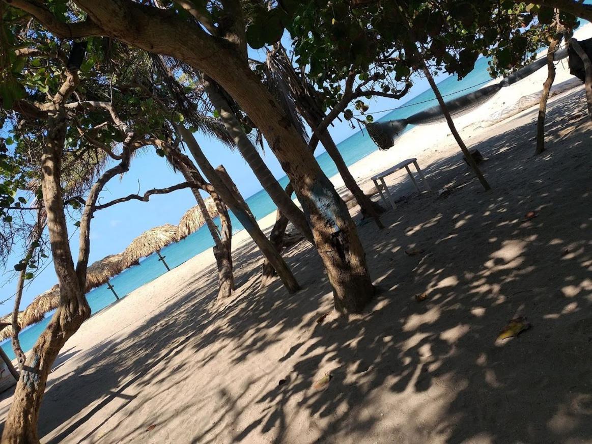 Cocos Tayrona Hotel