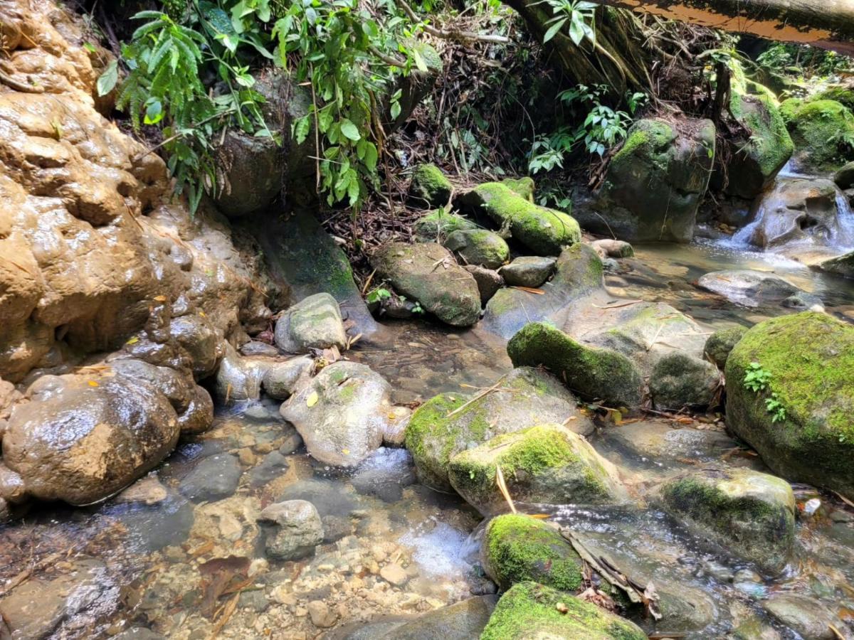 Alojamento Ecoscape Jamaica - Lavish 1-br By The River *