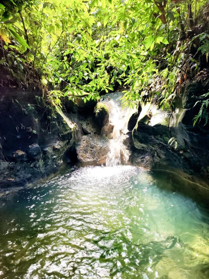 Ecoscape Jamaica - Lavish 1-br By The River Alojamento *