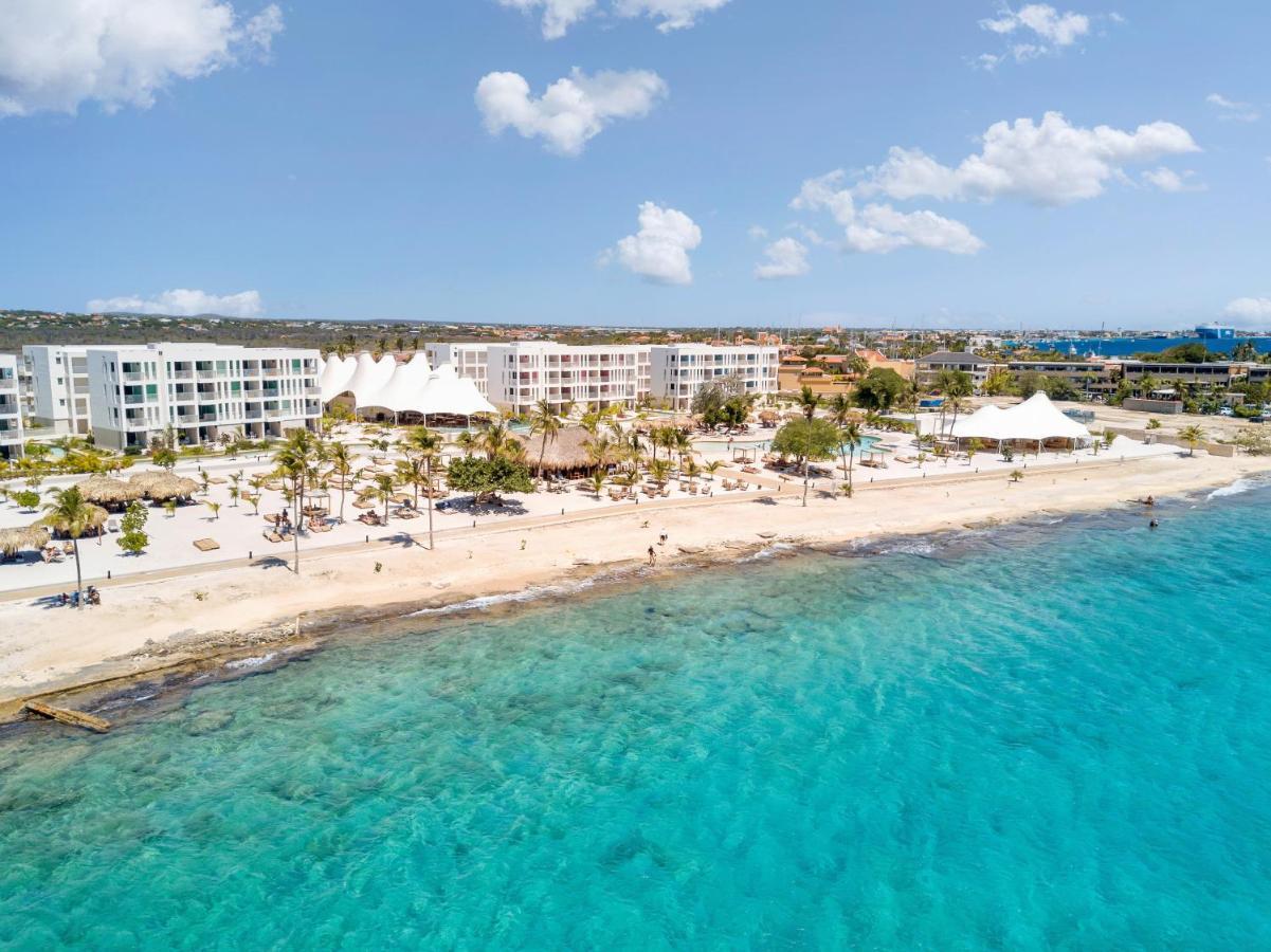Resort Chogogo Dive & Bonaire 4*
